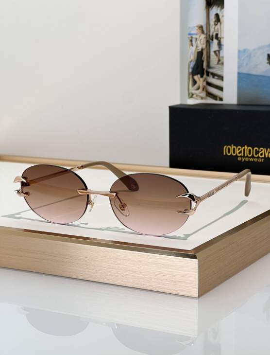 Picture of Roberto Cavalli Sunglasses _SKUfw79280024fw